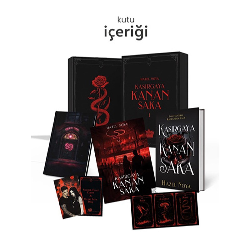 Kasırgaya Kanan Saka 1 - Hediyeli Özel Kutu (Ciltli)