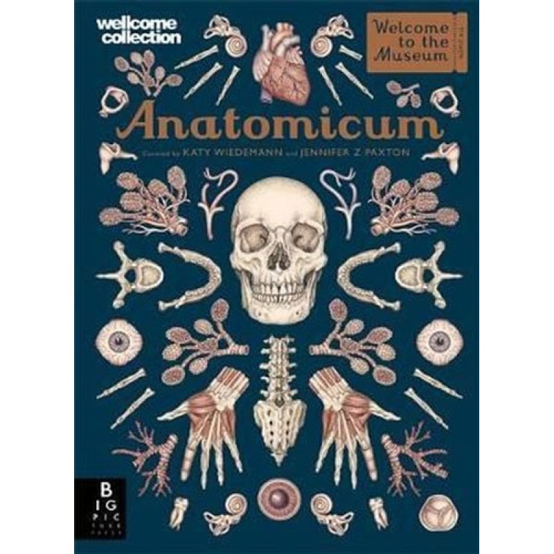 Anatomicum (Welcome To The Museum) Anatomicum (Welcome To The Museum)