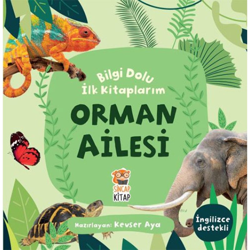 Bilgi Dolu İlk Kitaplarım - Orman Ailesi