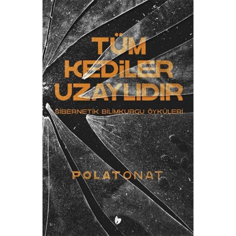Tüm Kediler Uzaylıdır Tüm Kediler Uzaylıdır