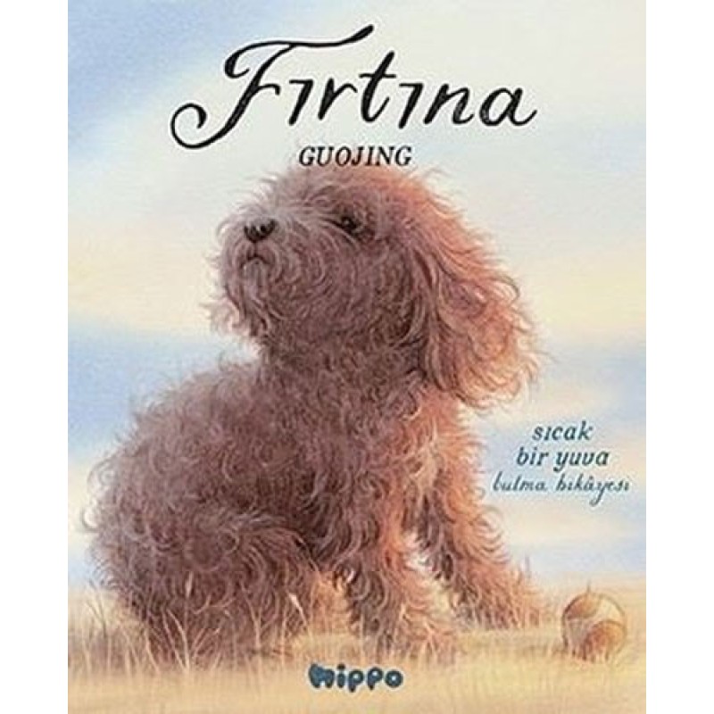 Fırtına