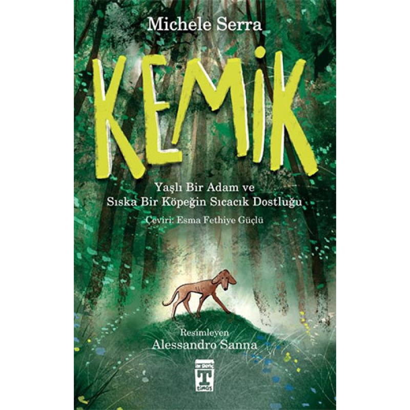 Kemik Kemik