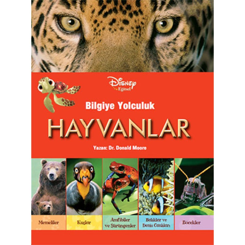 Bilgiye Yolculuk- Hayvanlar