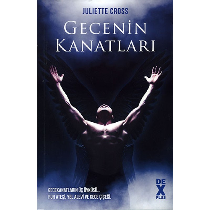 Gecenin Kanatları Gecenin Kanatları