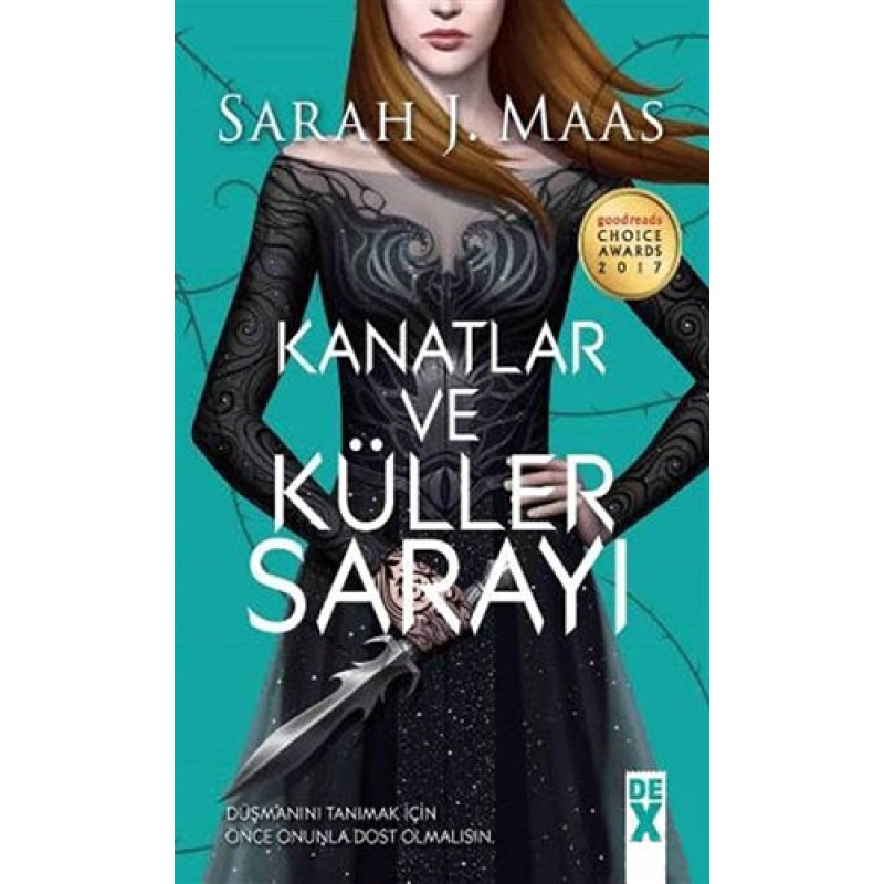 Dikenler ve Güller Sarayı 3 - Kanatlar ve Küller Sarayı