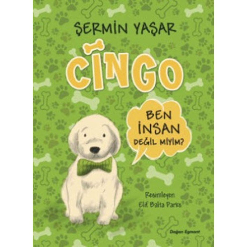 Cingo Cingo