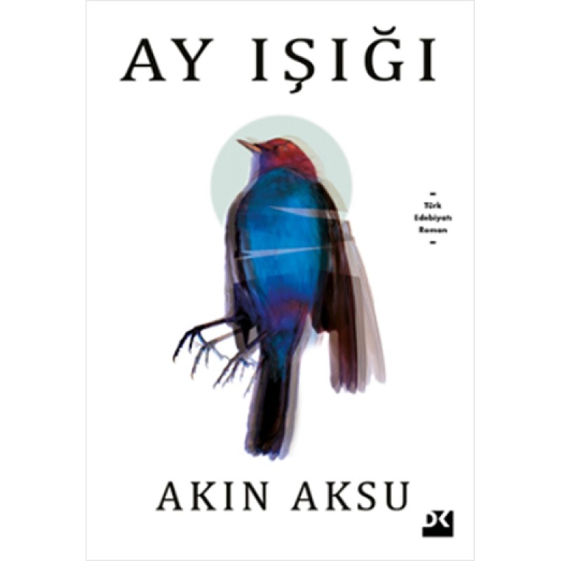 Ay Işığı