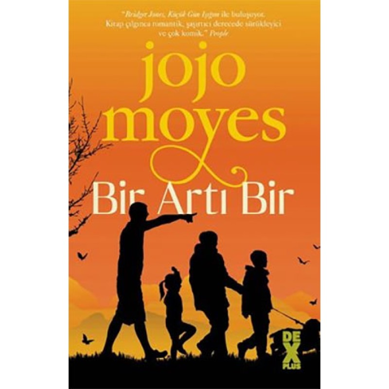 Bir Artı Bir Bir Artı Bir
