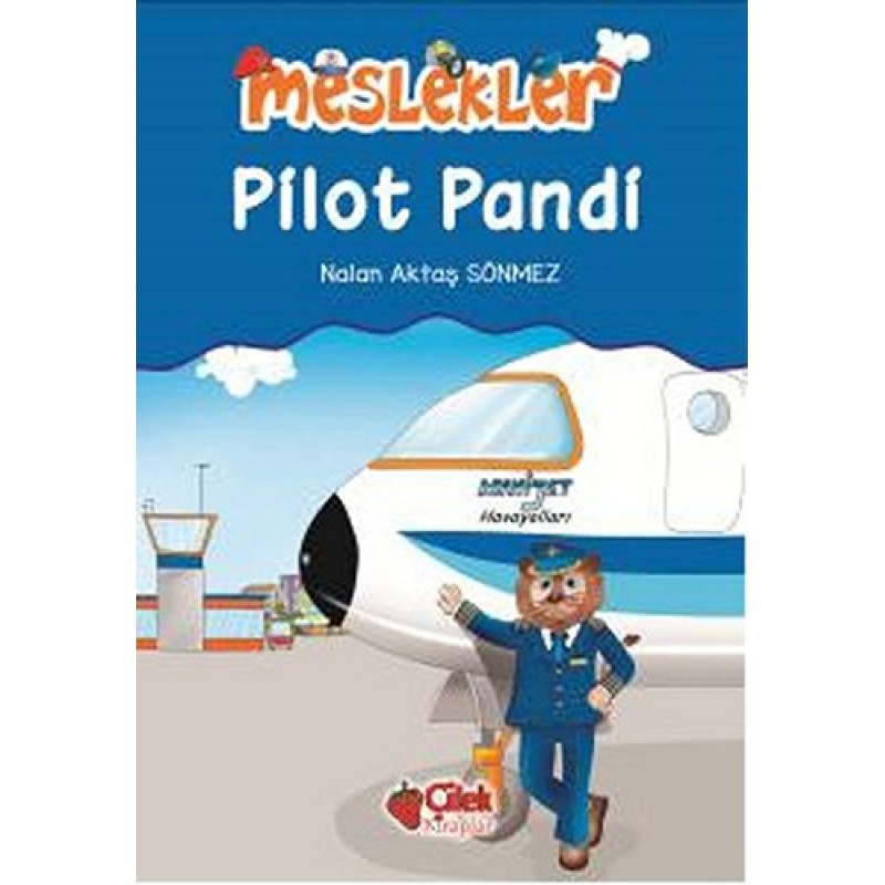 Meslekler Pilot Pandi Meslekler Pilot Pandi