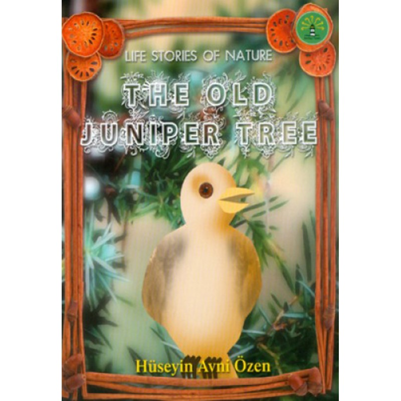 The Old Juniper Tree The Old Juniper Tree