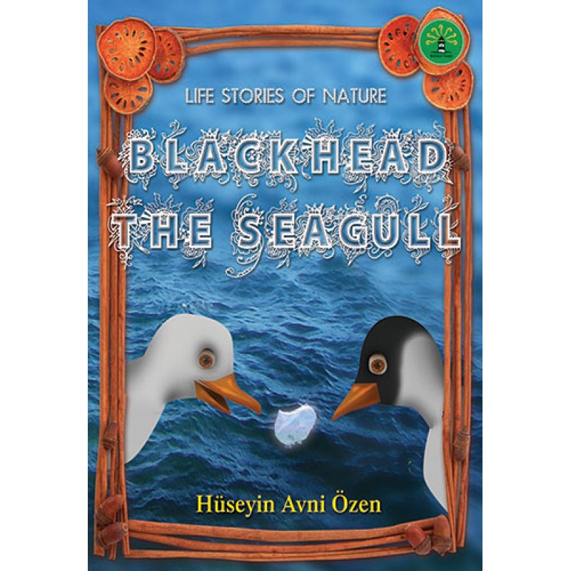 Black Head The Seagul
