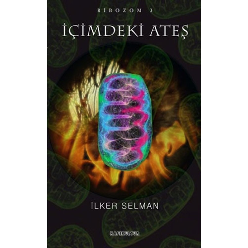 Ribozom 3 - İçimdeki Ateş Ribozom 3 - İçimdeki Ateş