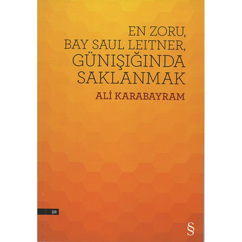 En Zoru, Bay Saul Leitner, Günışığında Saklanmak En Zoru, Bay Saul Leitner, Günışığında Saklanmak