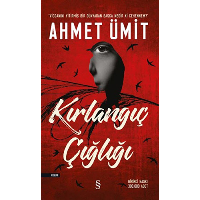 Kırlangıç Çığlığı