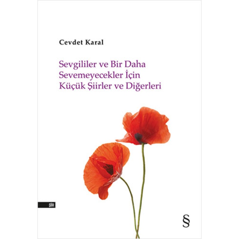 Sevgililer ve Bir Daha Sevemeyecekler İçin Küçük Şiirler ve Diğerleri Sevgililer ve Bir Daha Sevemeyecekler İçin Küçük Şiirler ve Diğerleri