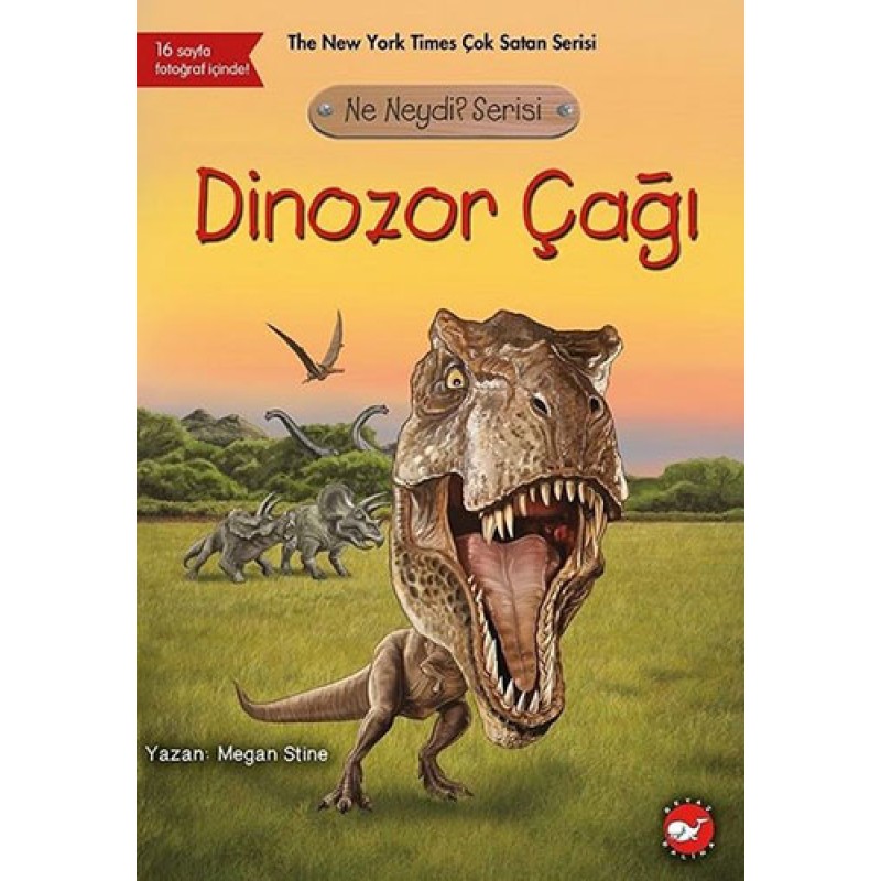 Dinozor Çağı
