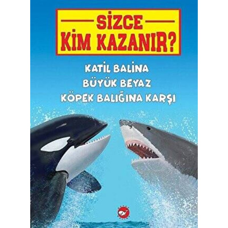 Sizce Kim Kazanır? - Katil Balina Büyük Beyaz Köpek Balığına Karşı Sizce Kim Kazanır? - Katil Balina Büyük Beyaz Köpek Balığına Karşı