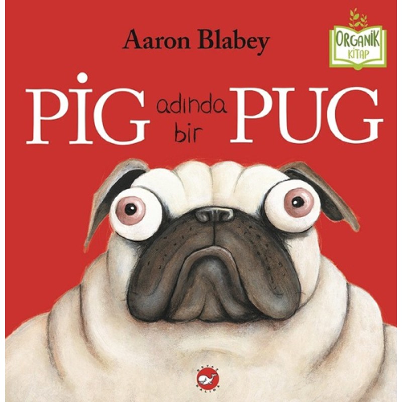 Pig Adında Bir Pug Pig Adında Bir Pug