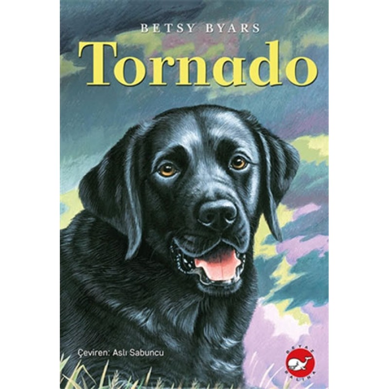 Tornado Tornado