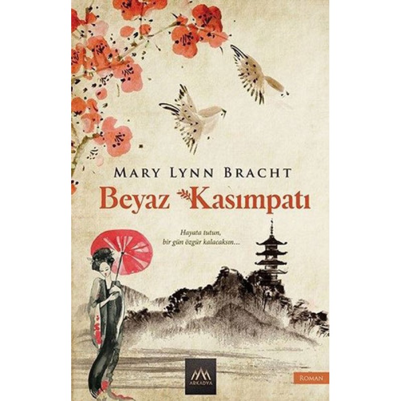 Beyaz Kasımpatı Beyaz Kasımpatı