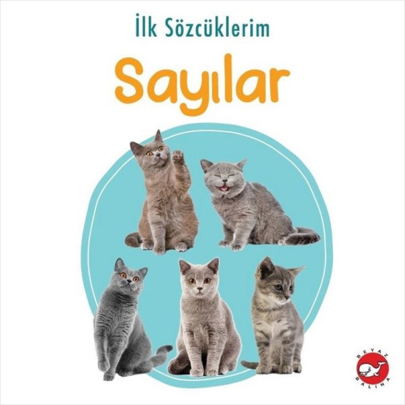 İlk Sözcüklerim - Sayılar İlk Sözcüklerim - Sayılar
