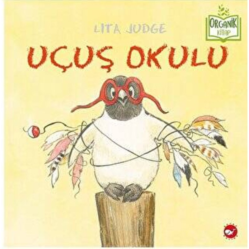 Uçuş Okulu Uçuş Okulu