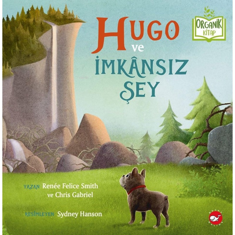Hugo ve İmkansız Şey Hugo ve İmkansız Şey