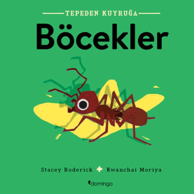 Tepeden Kuyruğa - Böcekler Tepeden Kuyruğa - Böcekler
