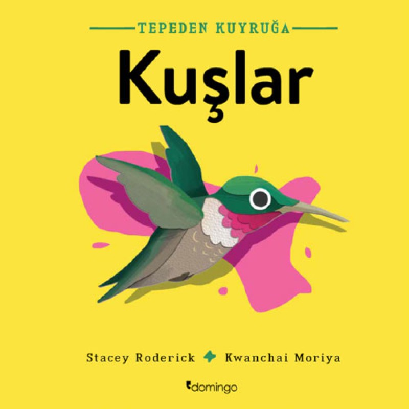 Tepeden Kuyruğa - Kuşlar Tepeden Kuyruğa - Kuşlar