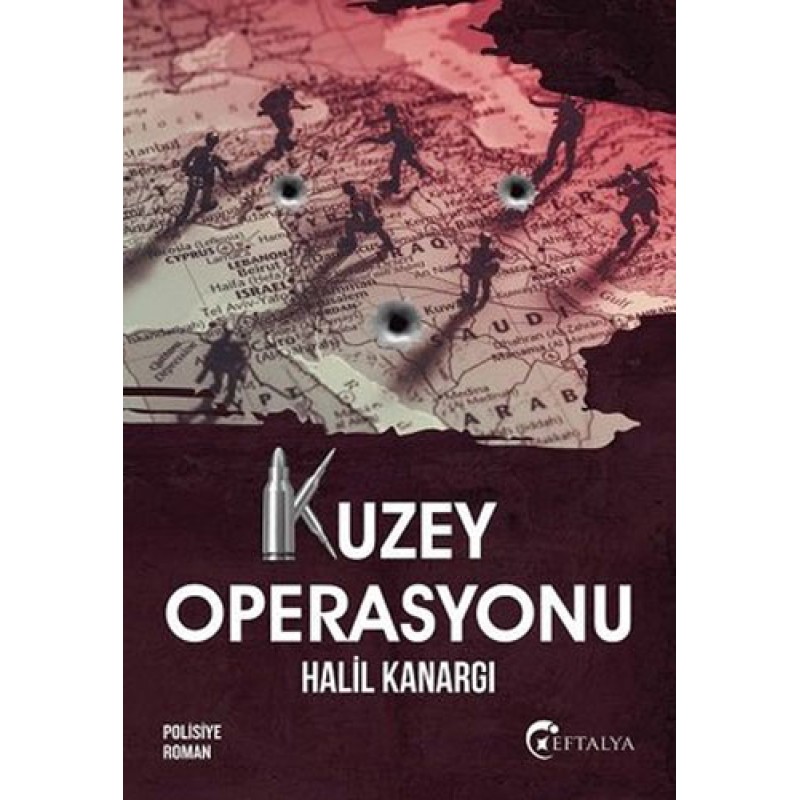 Kuzey Operasyonu Kuzey Operasyonu