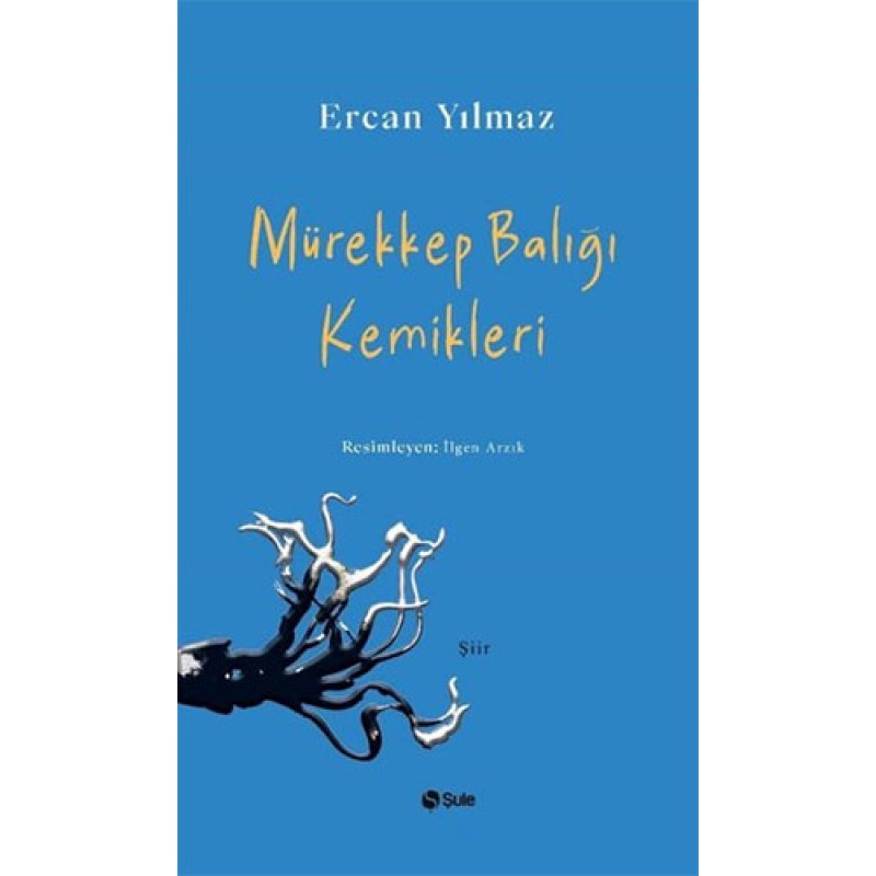 Mürekkep Balığı Kemikleri Mürekkep Balığı Kemikleri