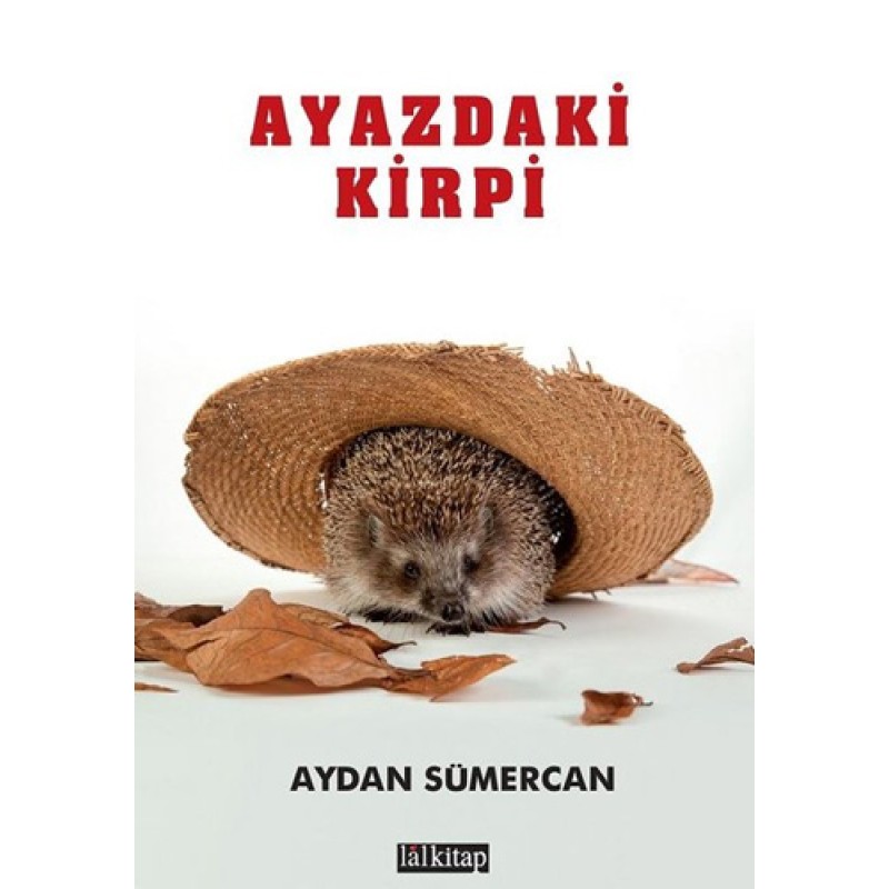 Ayazdaki Kirpi Ayazdaki Kirpi