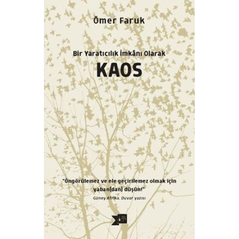 Bir Yaratıcılık İmkanı Olarak Kaos