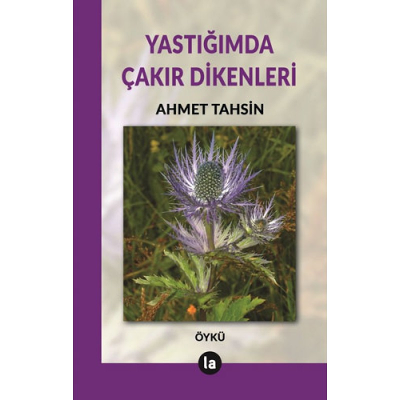 Yastığımda Çakır Dikenleri Yastığımda Çakır Dikenleri