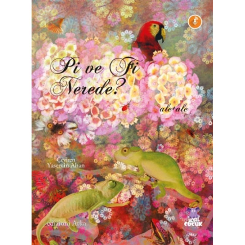 Pi ve Fi Nerede? Pi ve Fi Nerede?
