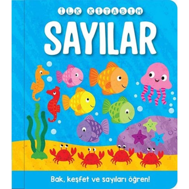 İlk Kitabım - Sayılar (Ciltli)