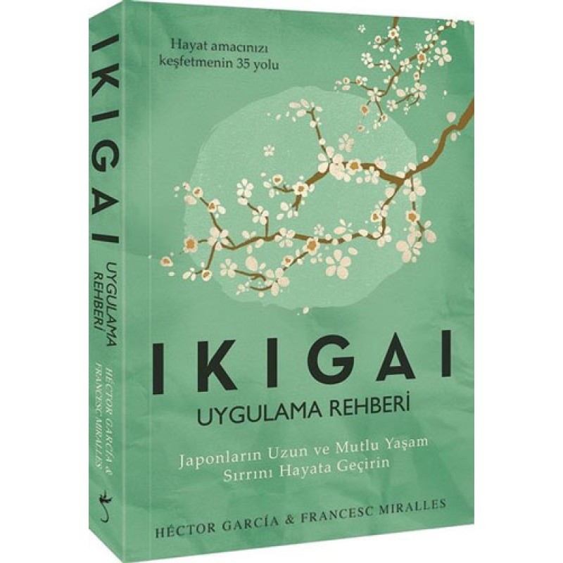 Ikigai - Uygulama Rehberi