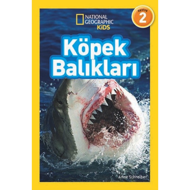 Köpek Balıkları Köpek Balıkları