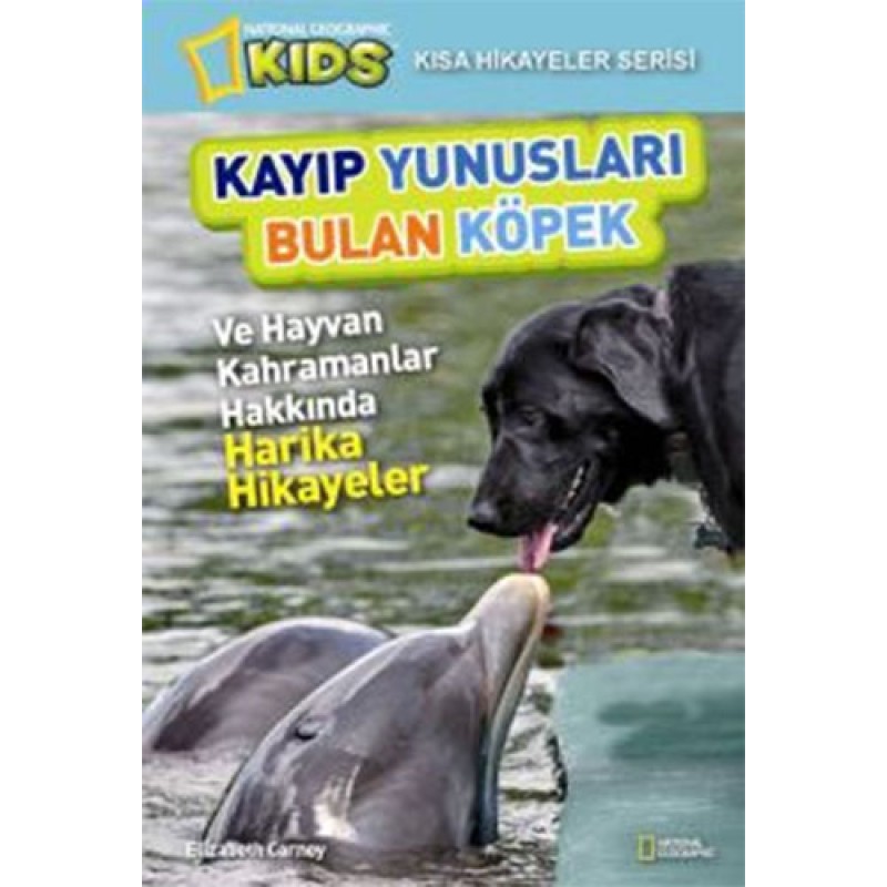 Kayıp Yunusları Bulan Köpek Kayıp Yunusları Bulan Köpek