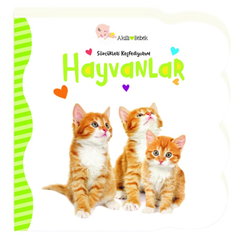 Sözcükleri Keşfediyorum - Hayvanlar (Ciltli) Sözcükleri Keşfediyorum - Hayvanlar (Ciltli)