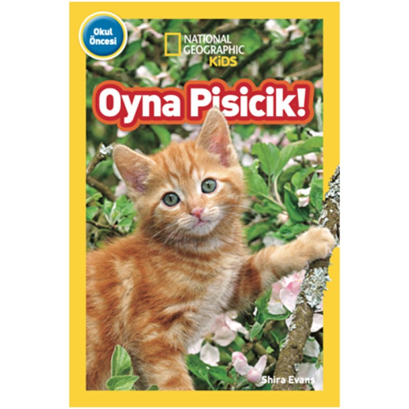 Oyna Pisicik! Oyna Pisicik!