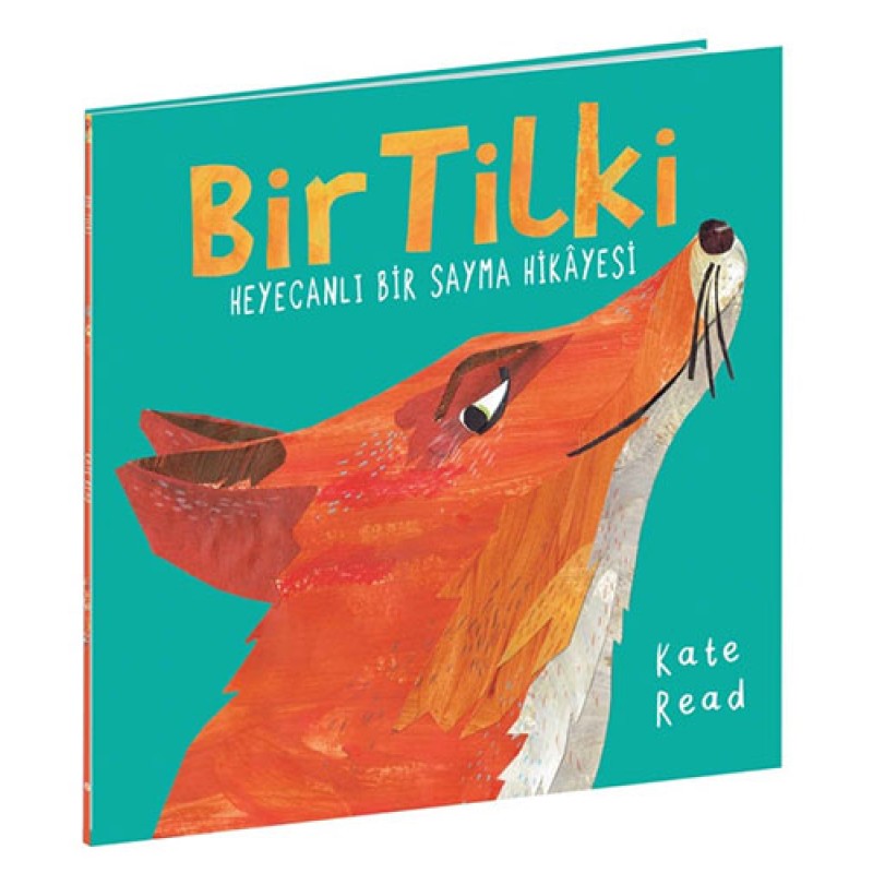 Bir Tilki Bir Tilki