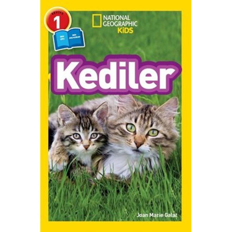 Kediler Kediler