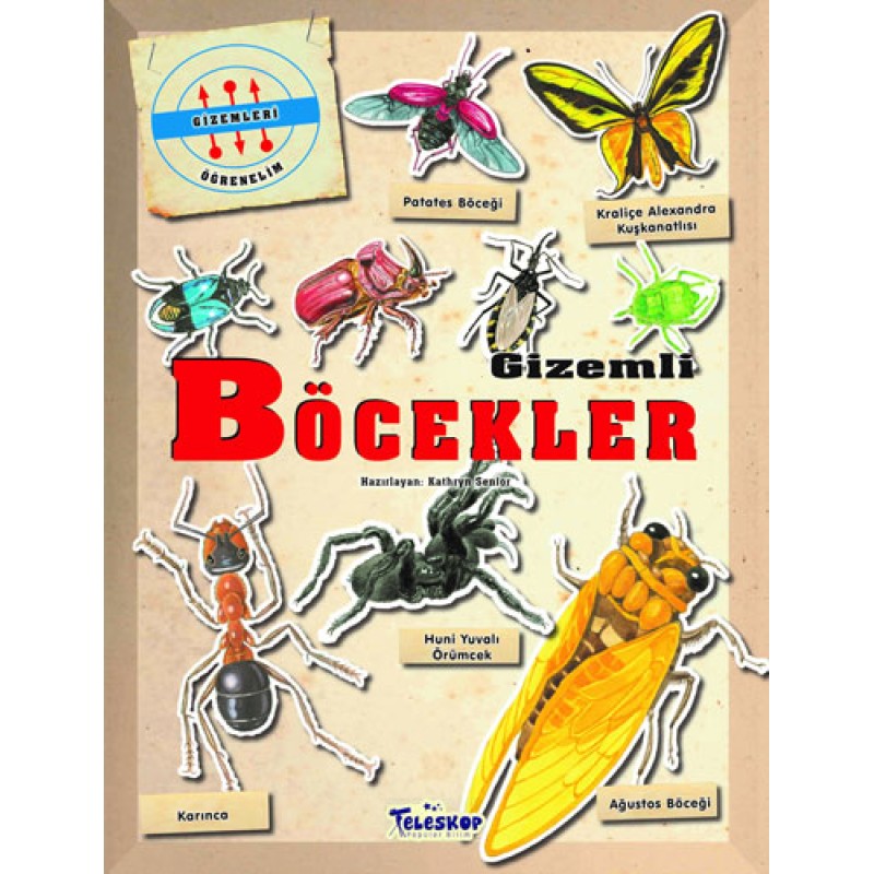 Gizemli Böcekler Gizemli Böcekler