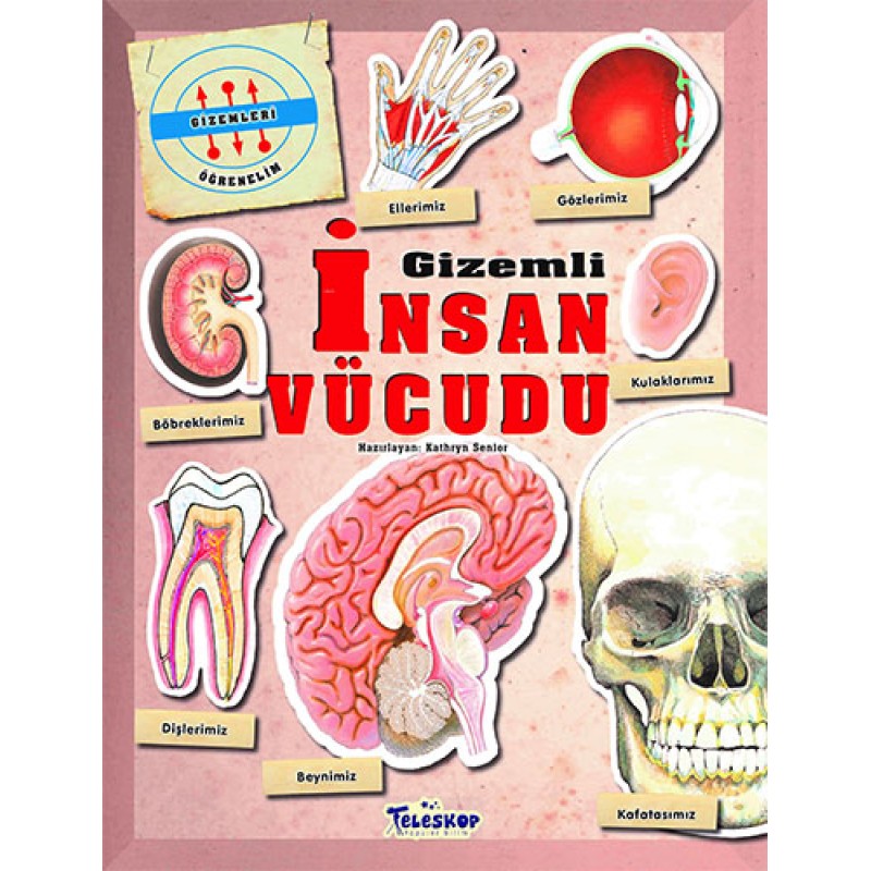 Gizemli İnsan Vücudu