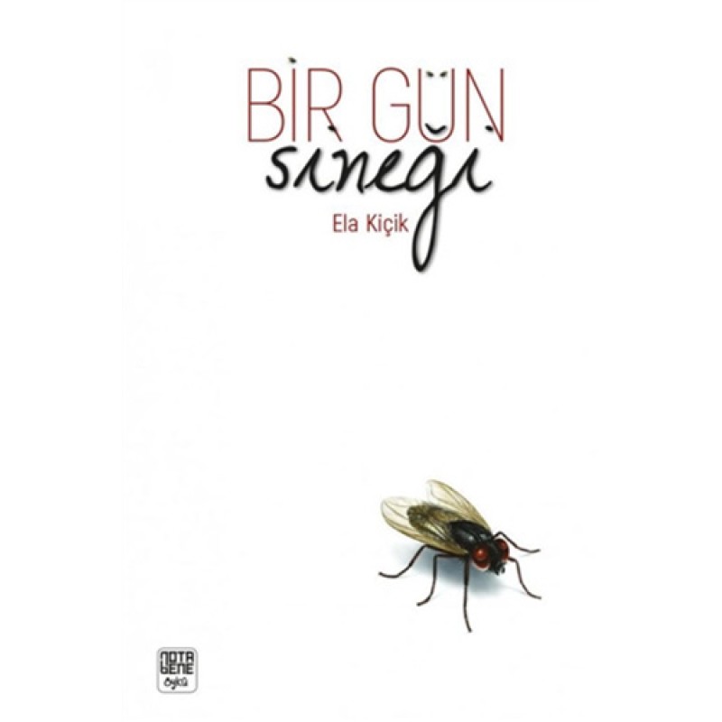 Bir Gün Sineği Bir Gün Sineği