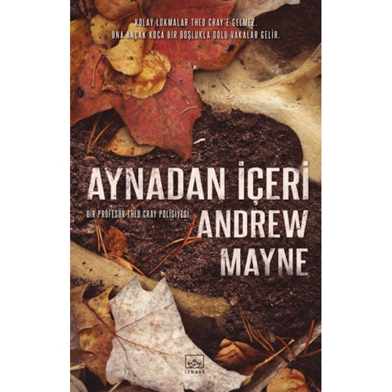 Aynadan İçeri Aynadan İçeri