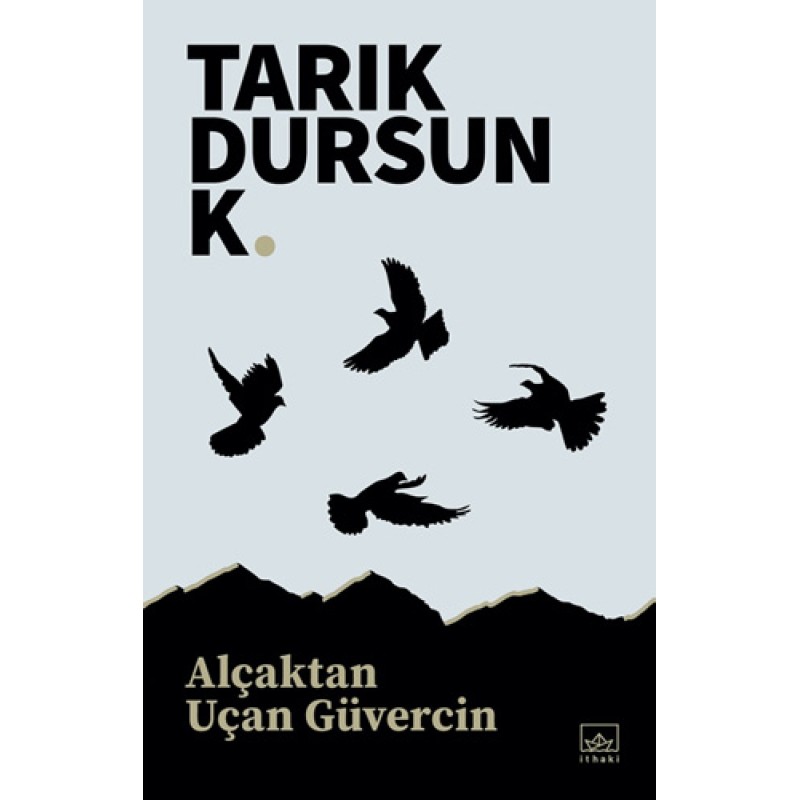 Alçaktan Uçan Güvercin Alçaktan Uçan Güvercin
