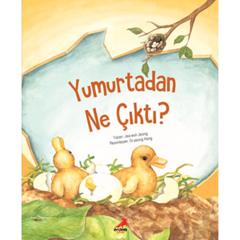 Yumurtadan Ne Çıktı?