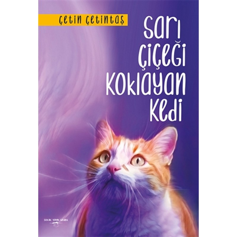 Sarı Çiçeği Koklayan Kedi Sarı Çiçeği Koklayan Kedi